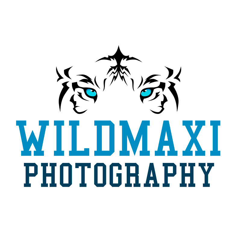 WildMaxi Photography